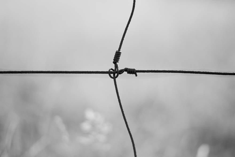Draht fotografiert mit Leica M und Summilux @ f/1.4.