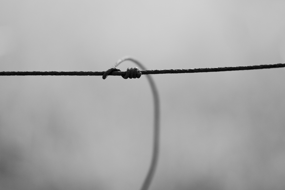 Draht fotografiert mit Leica M und Summilux @ f/1.4.