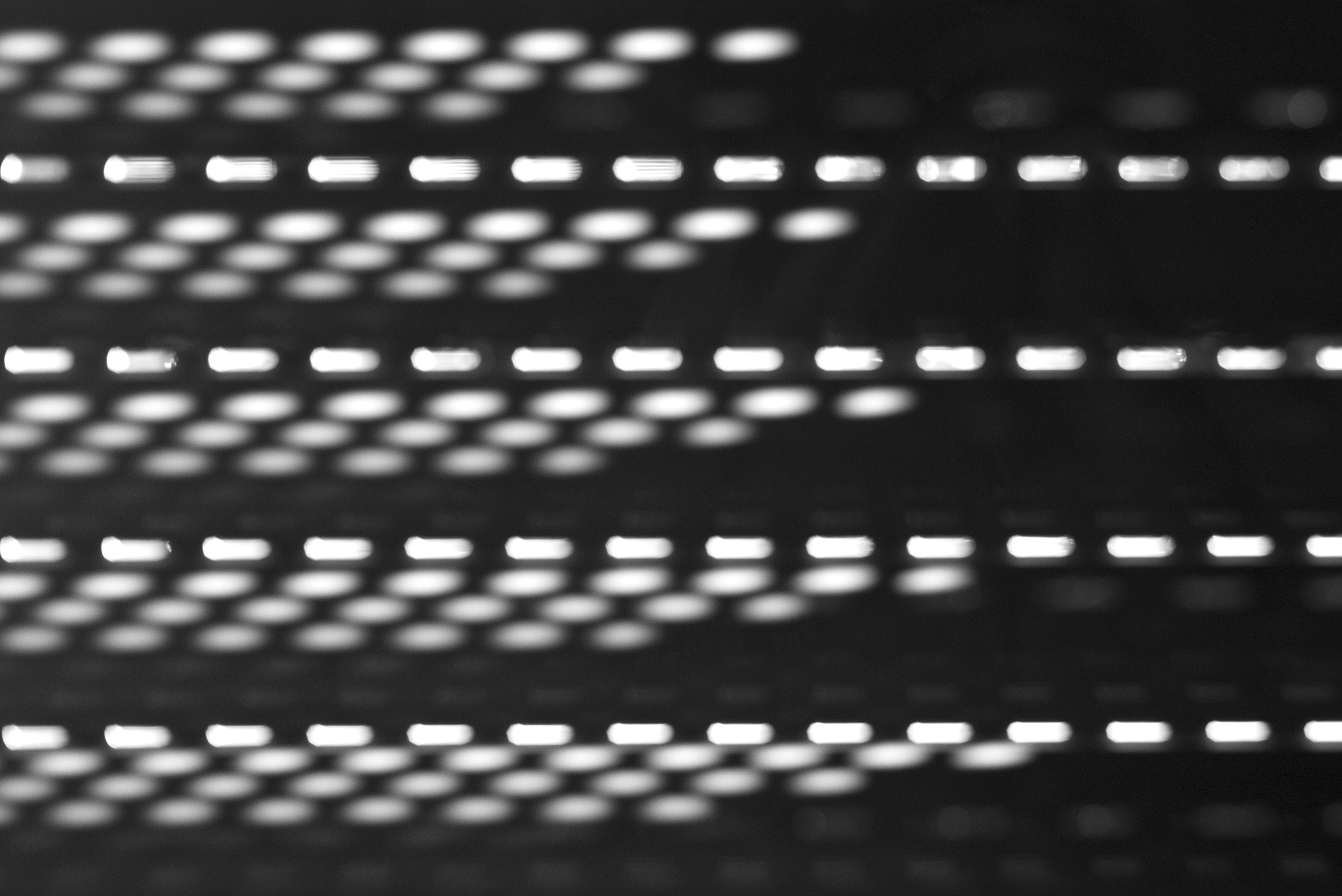 L1009925_01